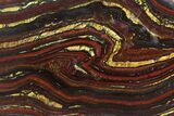 Polished Tiger Iron Stromatolite - ( Billion Years) #92967-1